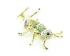 Locusts Cricket Crystal Rhinestone brooch