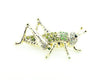 Locusts Cricket Crystal Rhinestone brooch